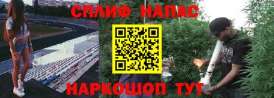 мяу мяу мука Можайск
