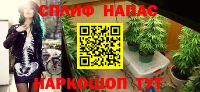 a pvp Можга