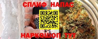 a pvp Можга